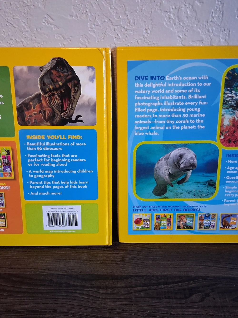 National Geographic Yellow Clownfish Board Book - Little Kids First Big Book